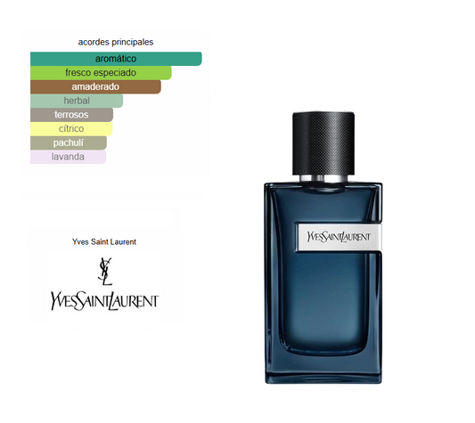Y Eau de Parfum Intense